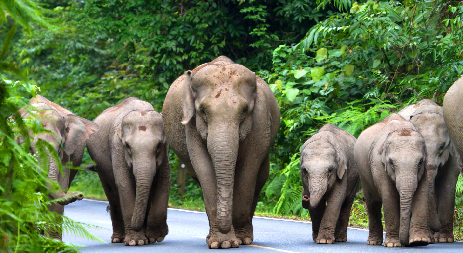 Thailand