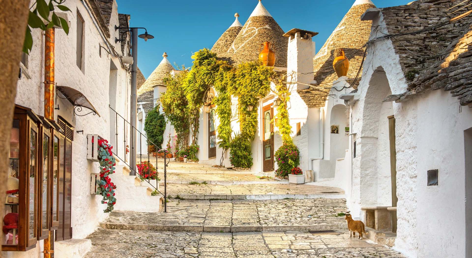 Gay Group Trip: Puglia Yoga Retreat