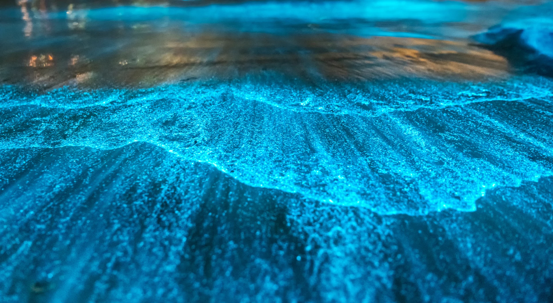 Mosquito Bioluminescent Bay