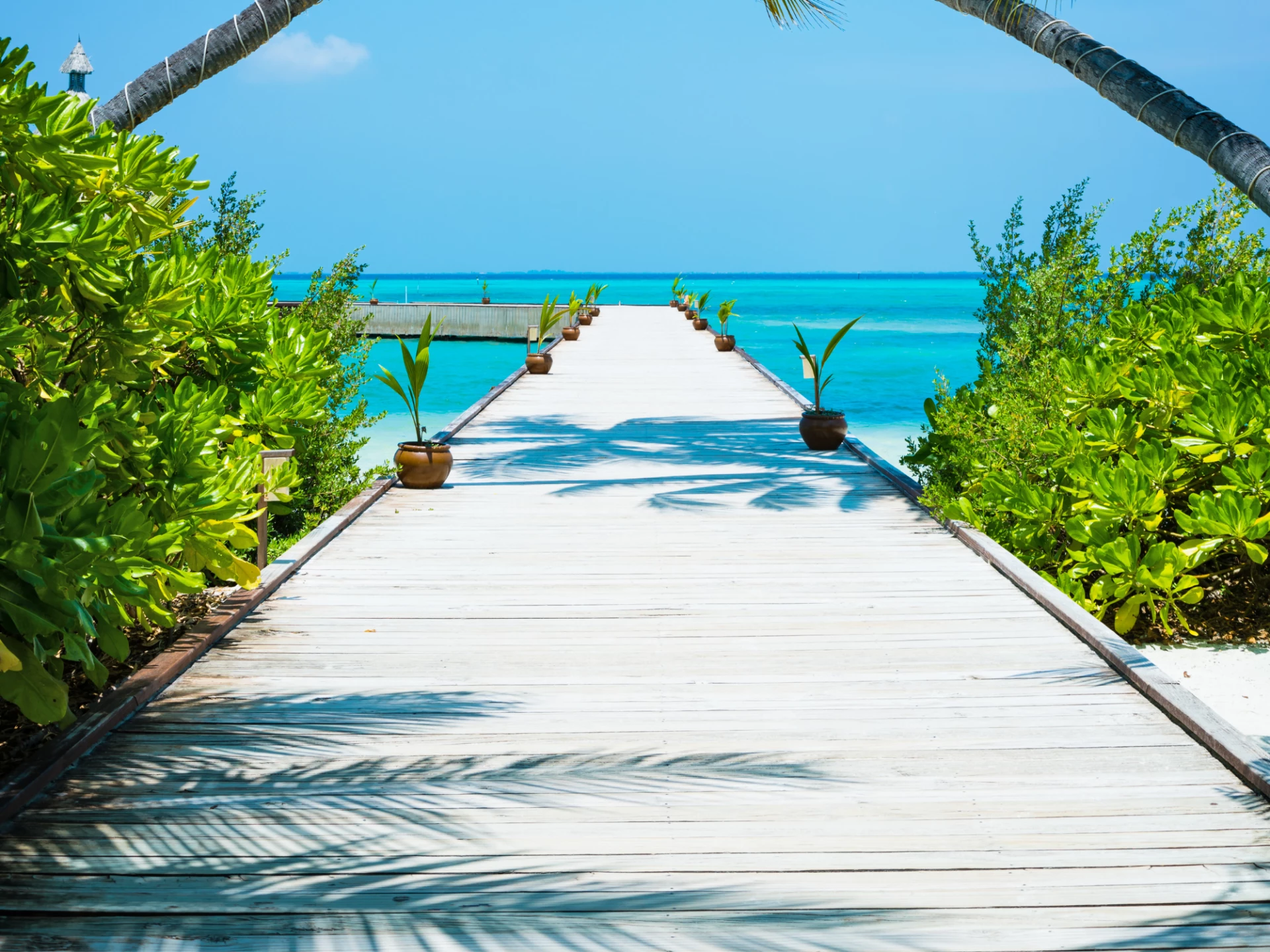 The Maldives