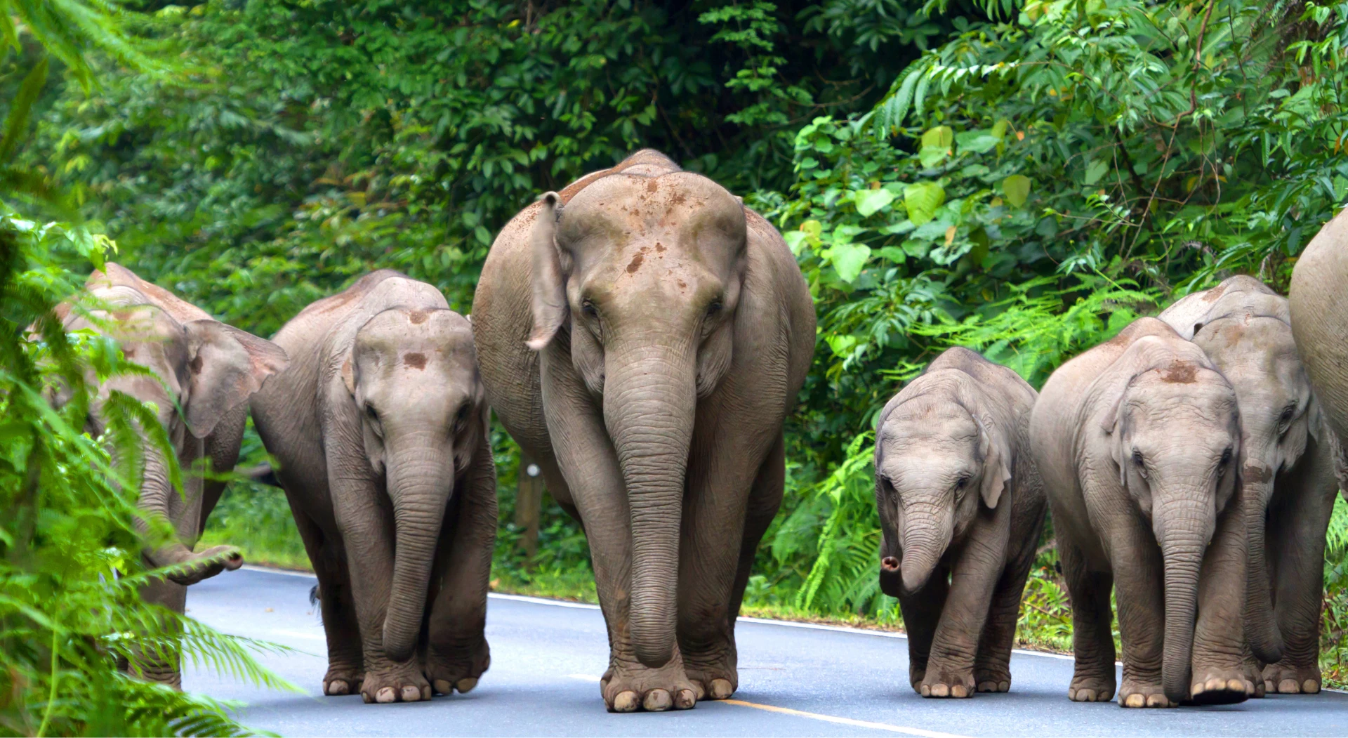 Gay Group Trip: Sri Lanka and the Maldives