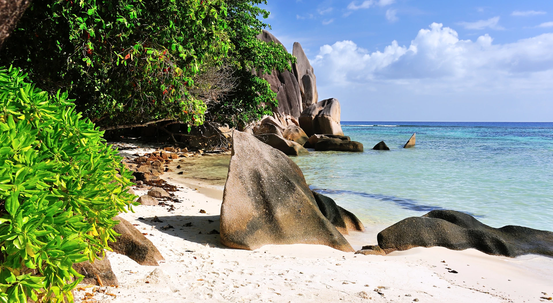 The Seychelles