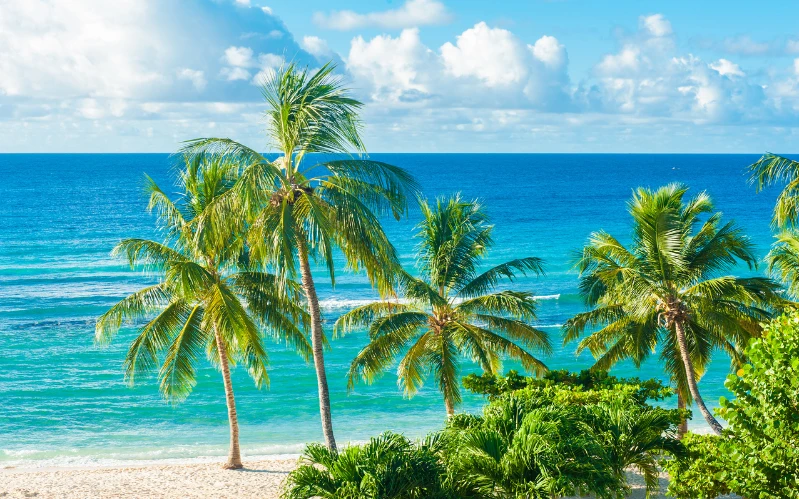 Day 6: Barbados Awaits