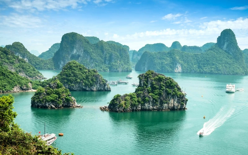 Luxury Vietnam Food Tour