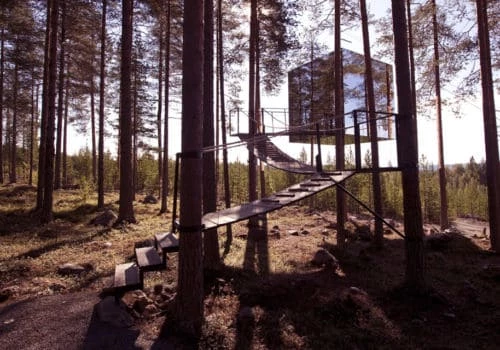 Day 5: Treehotel