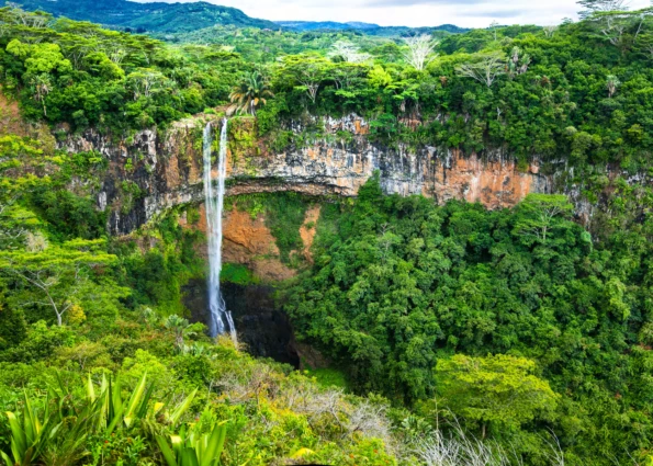 South Africa and Mauritius