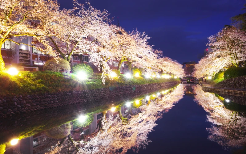 Day 7: Matsue and Izumo – Spiritual Heritage