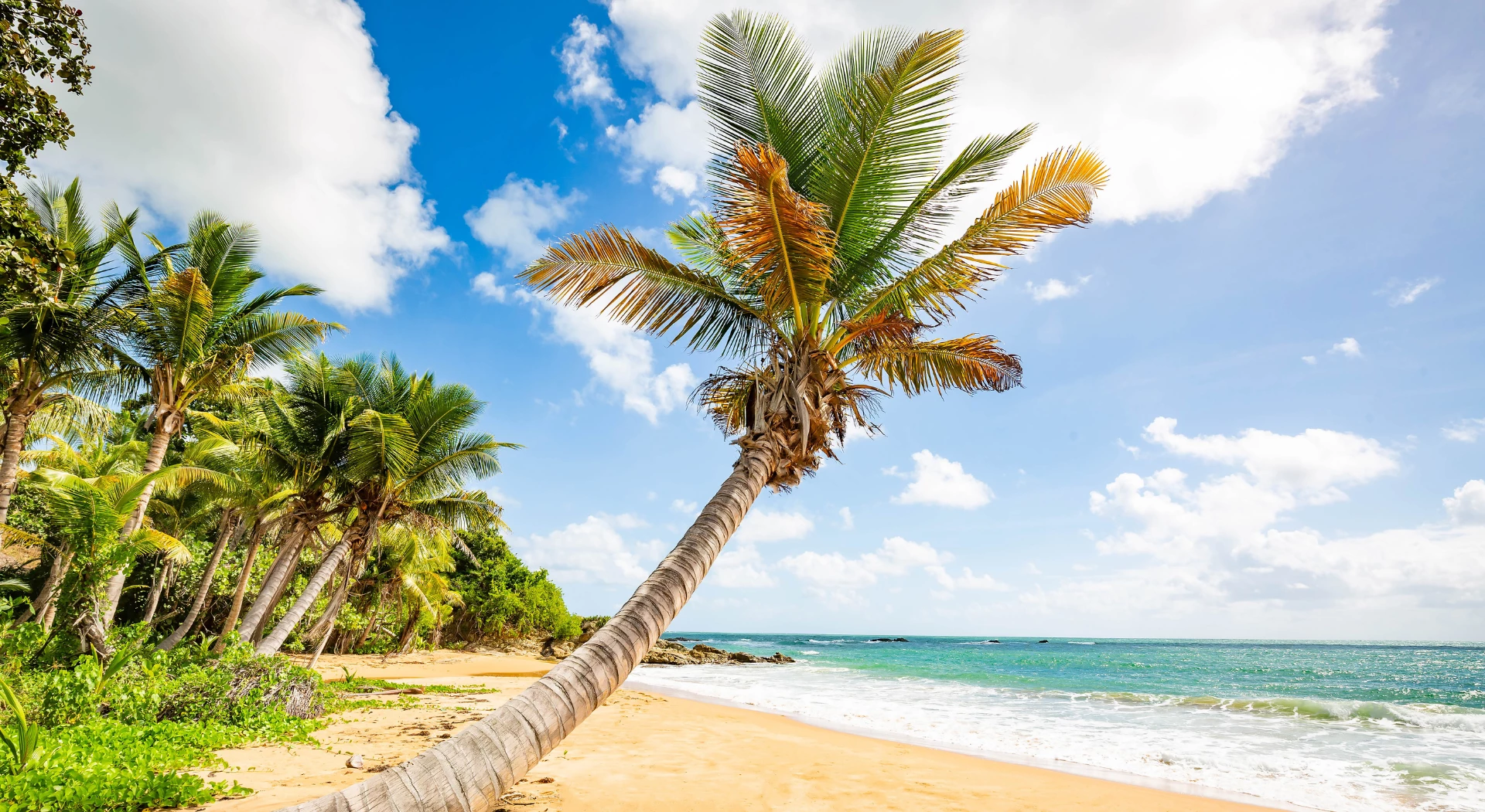 Luxury Puerto Rico