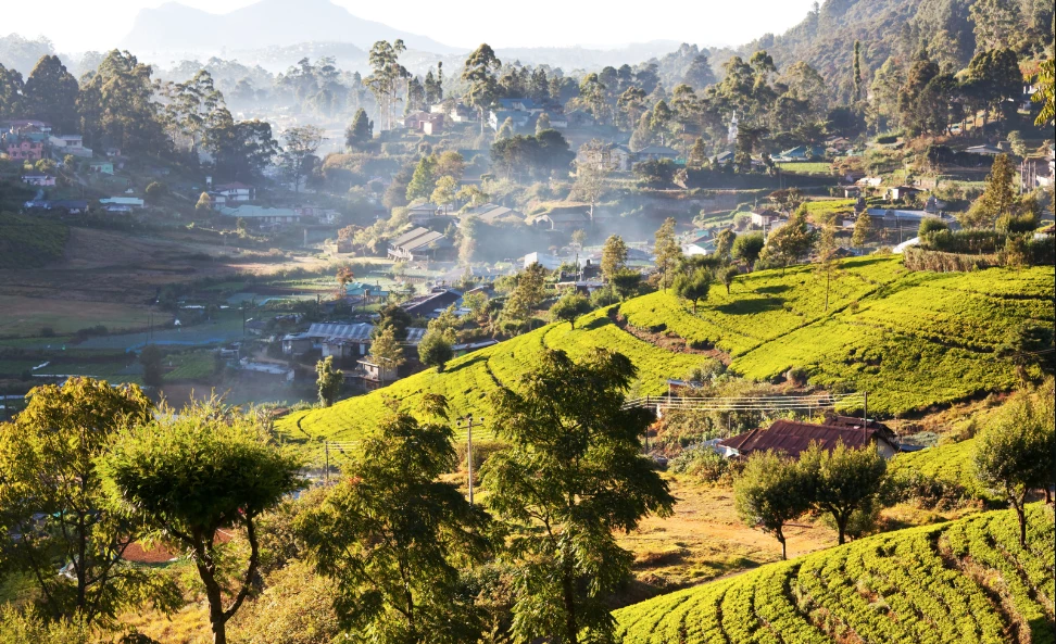 Day 4: Hiriwadunna Village