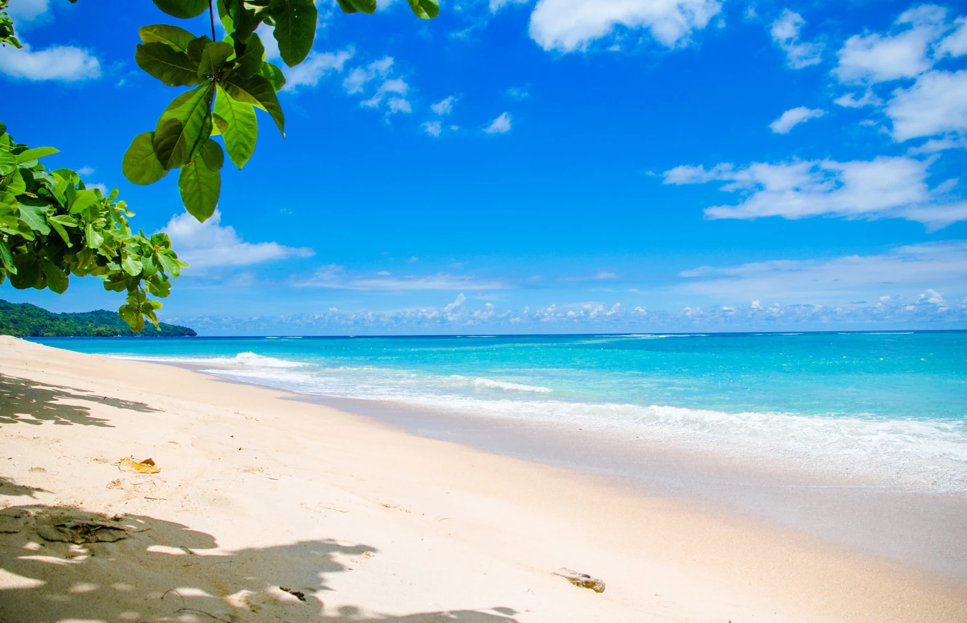 Beach and Reef Discoverer