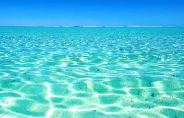 Beach and Reef Discoverer