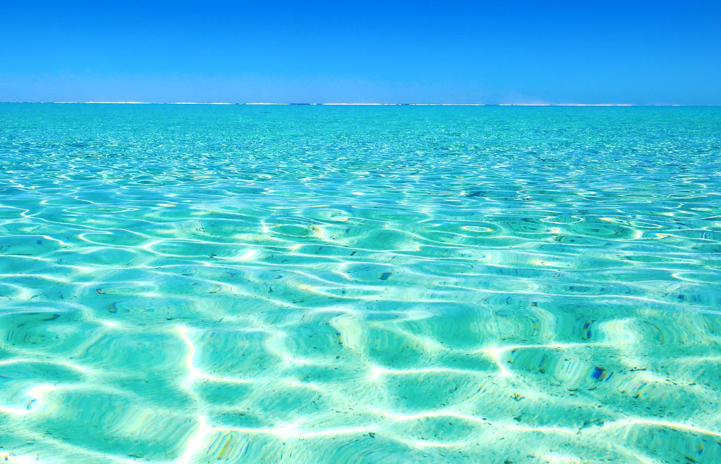 Beach and Reef Discoverer