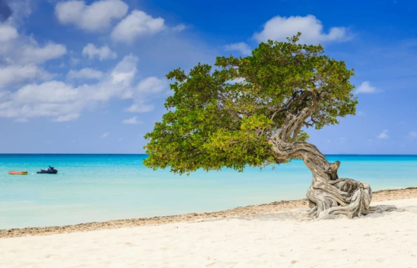 Classic Caribbean: Aruba and Curacao