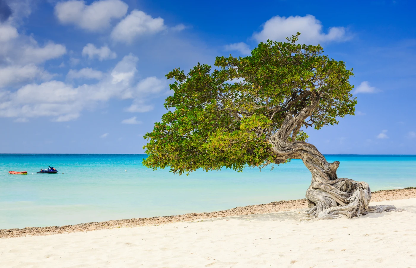 Classic Caribbean: Aruba and Curacao
