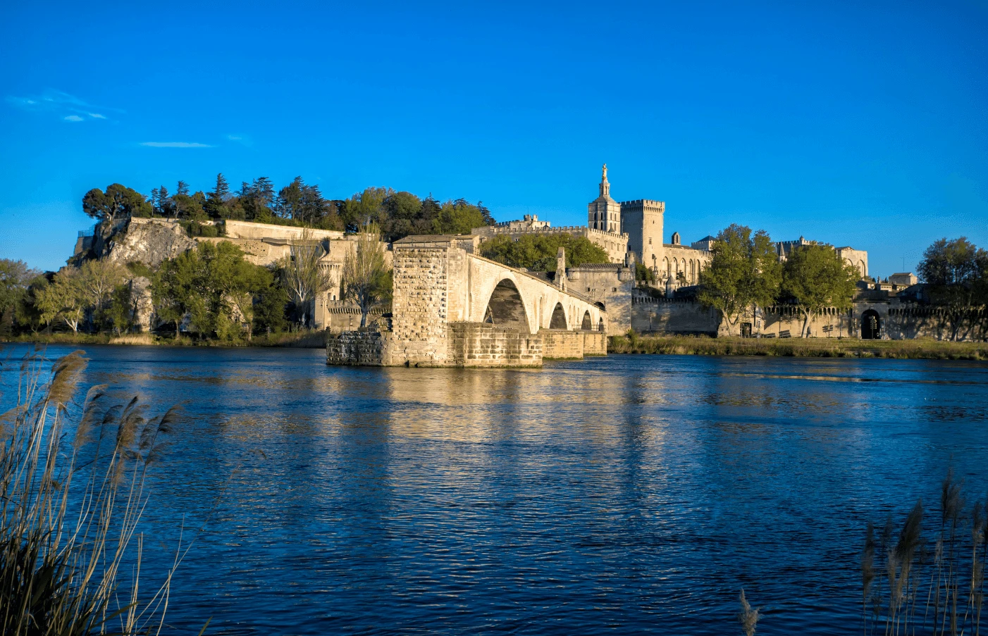 Day 6: Avignon