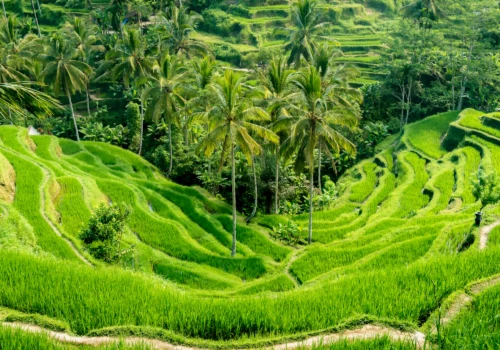 Luxury gay vacations in Bali