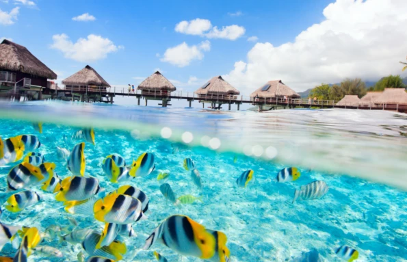 Beach and Reef Discoverer