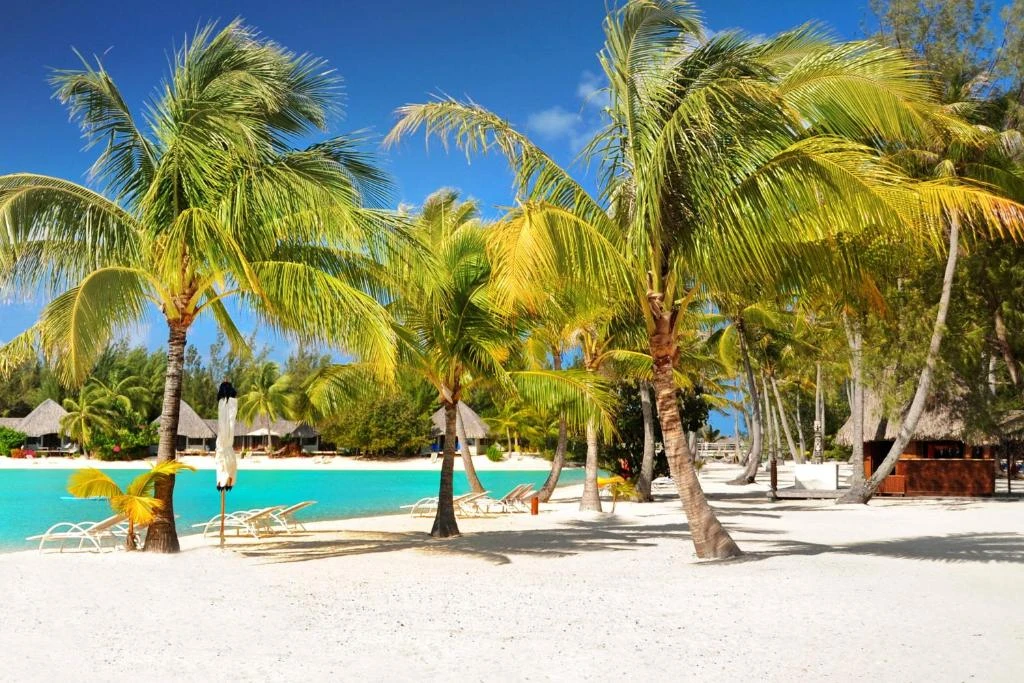 Luxury gay travel