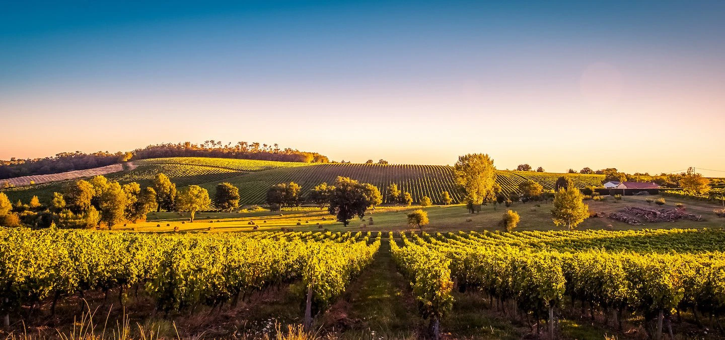 France: A Vineyard Voyage