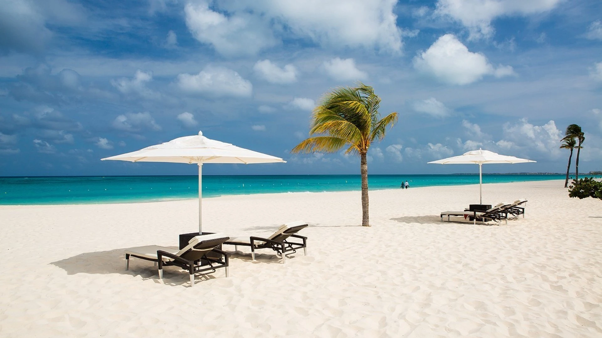 Bucuti & Tara Beach Resort