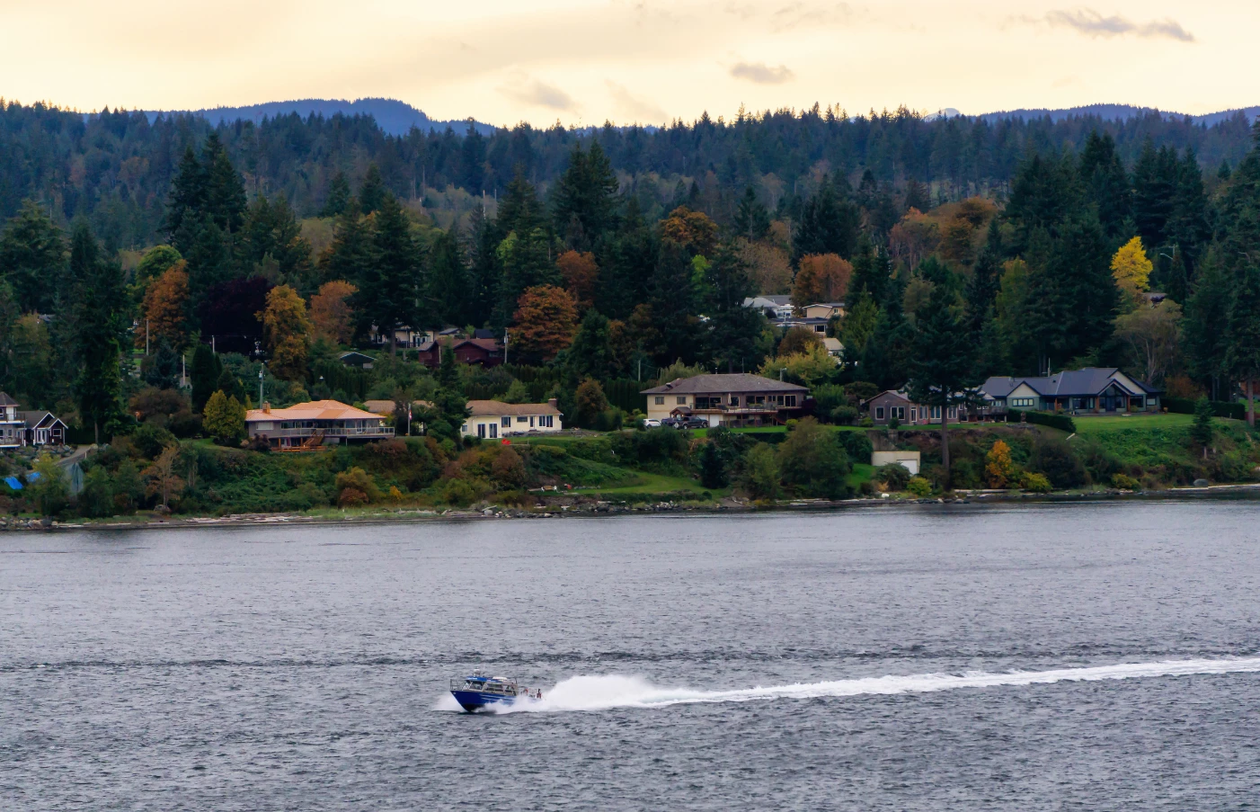Day 5: Tofino to Sonora