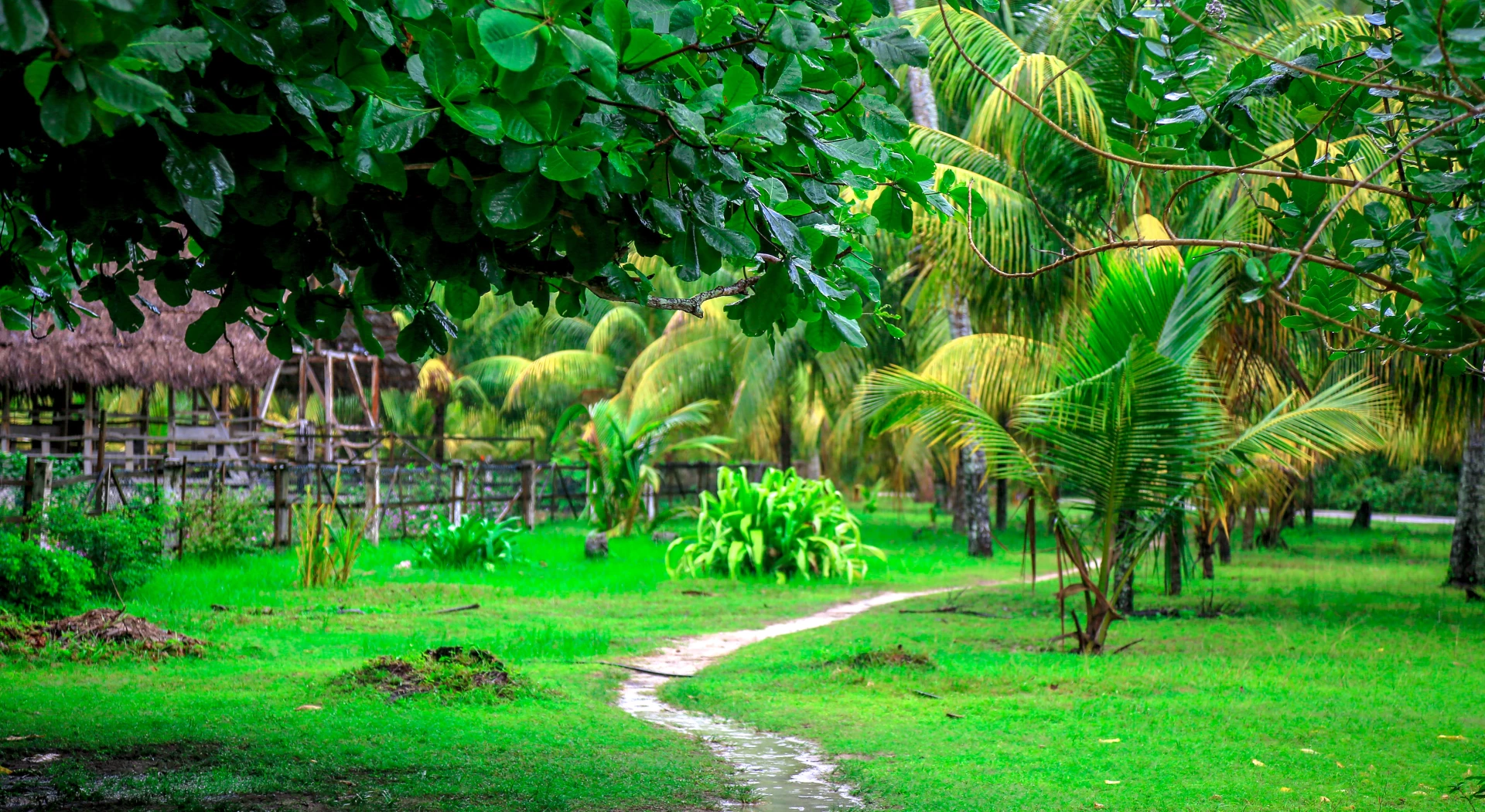 Ultimate Luxury: The Seychelles