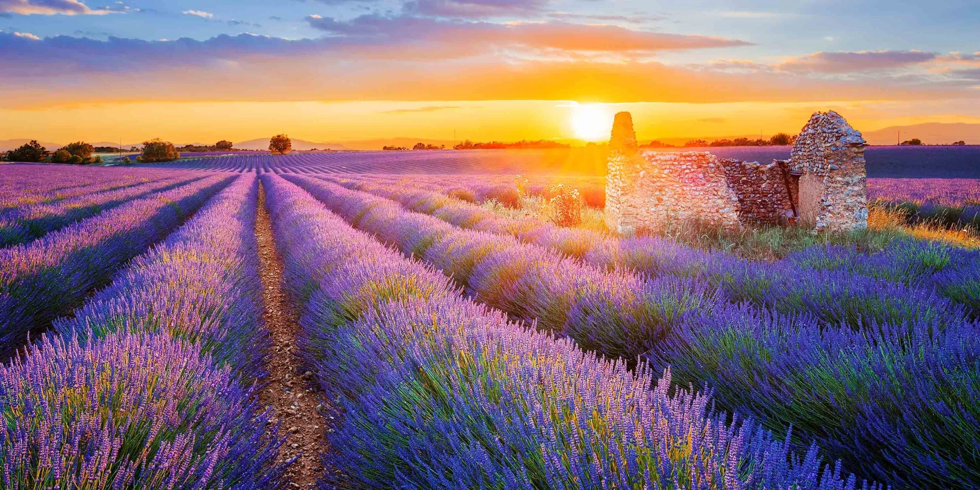 Classic France: Paris, Provence and Riviera