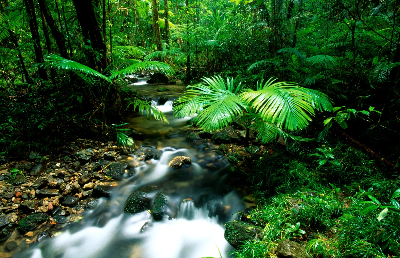 Day 8: Cairns