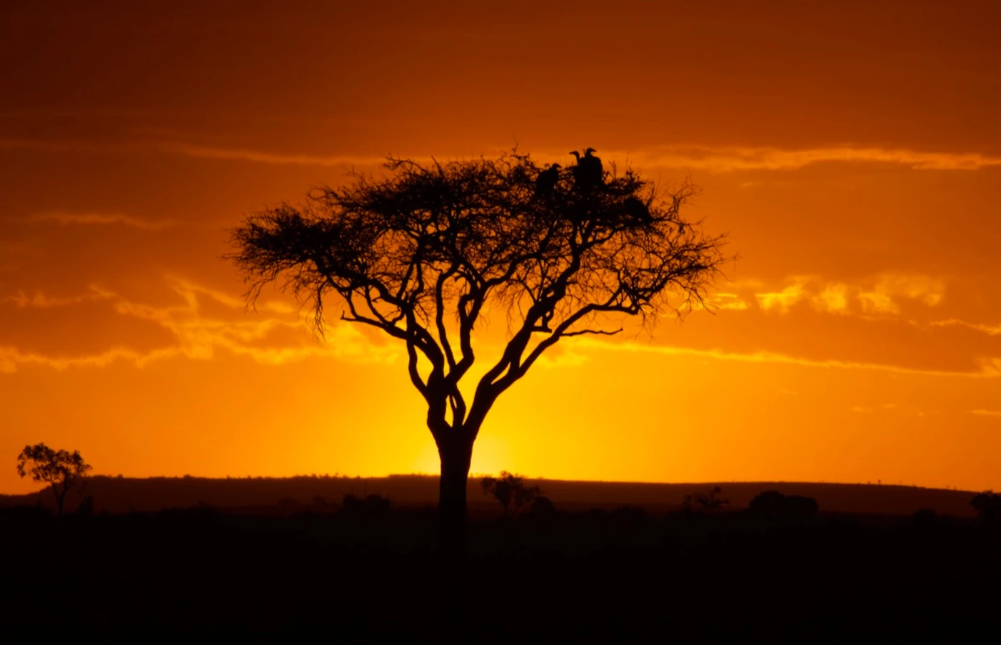 Day 10: Masai Mara to Nairobi