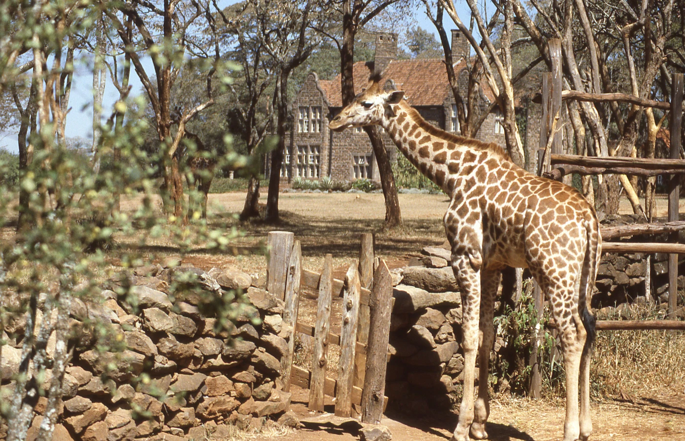 Day 2: Nairobi Exploration