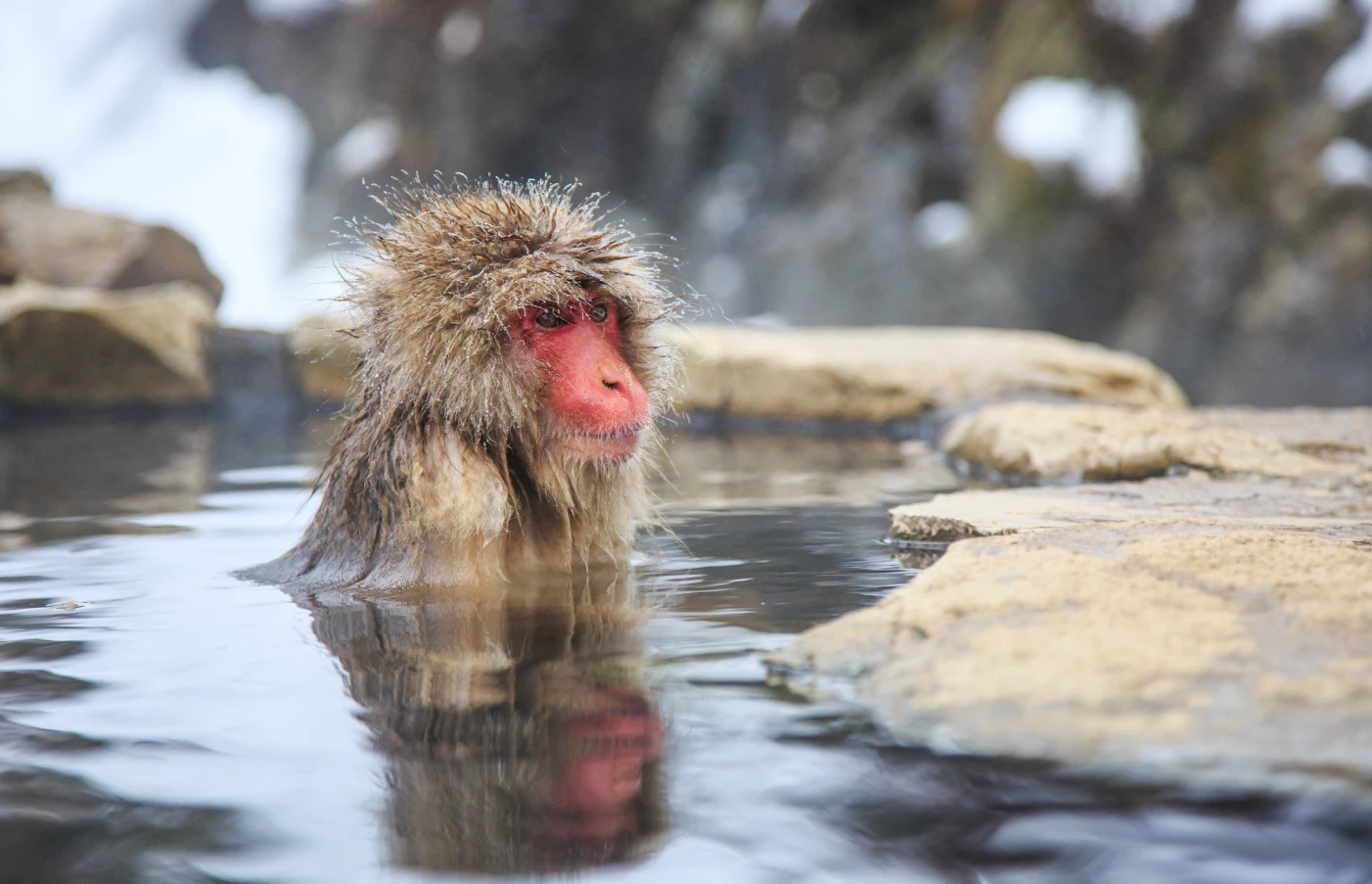 Day 3-4: Nagano