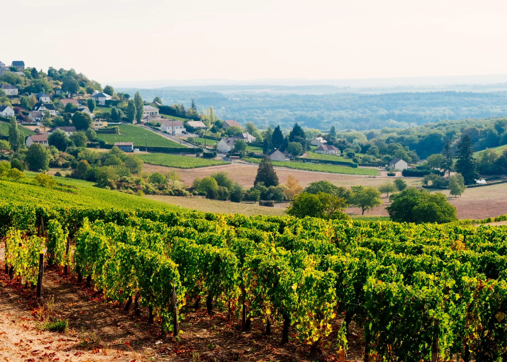 Day 6: Chalonnes-Sur-Loire