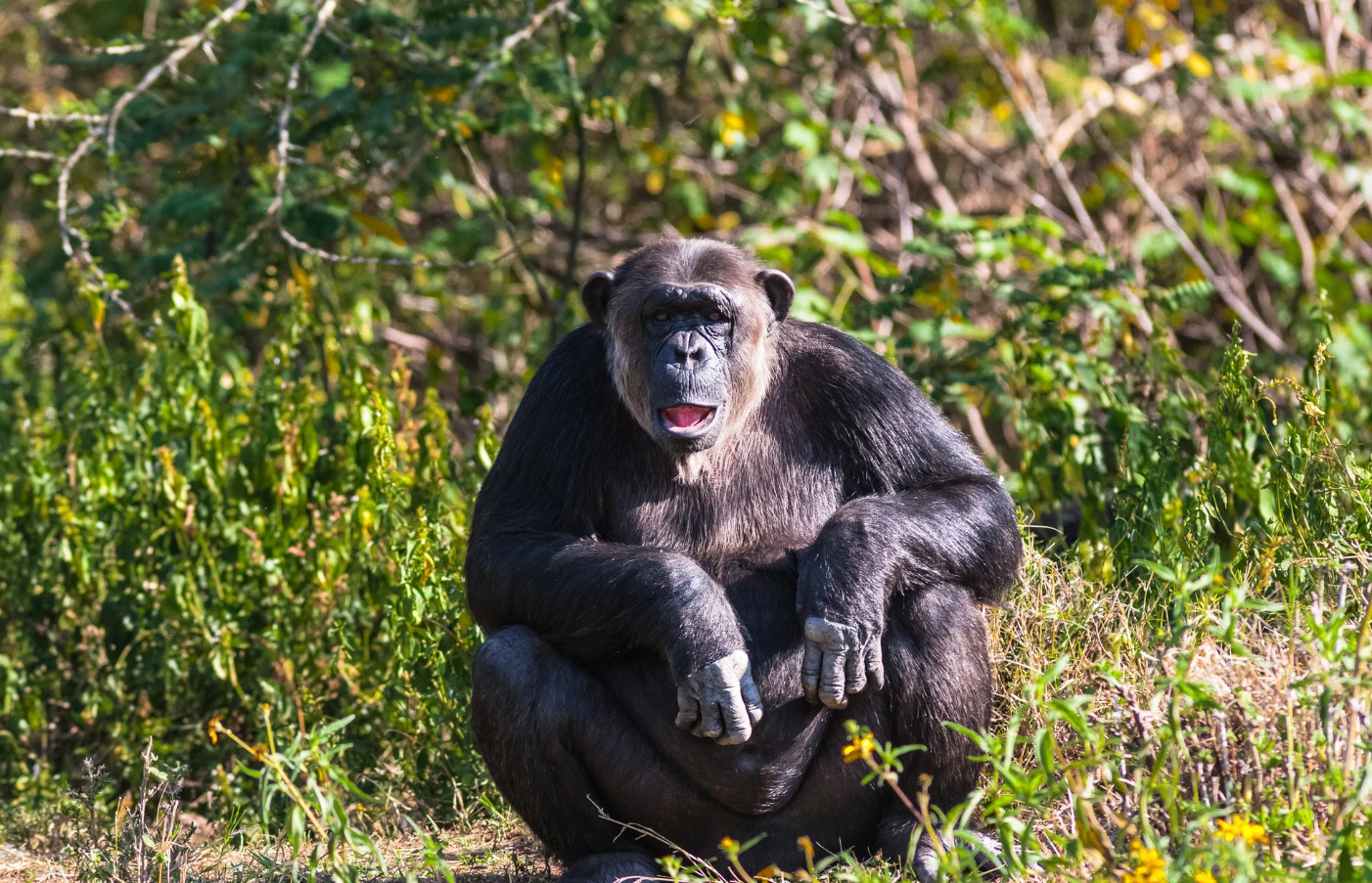 Day 6: Ol Pejeta Conservancy