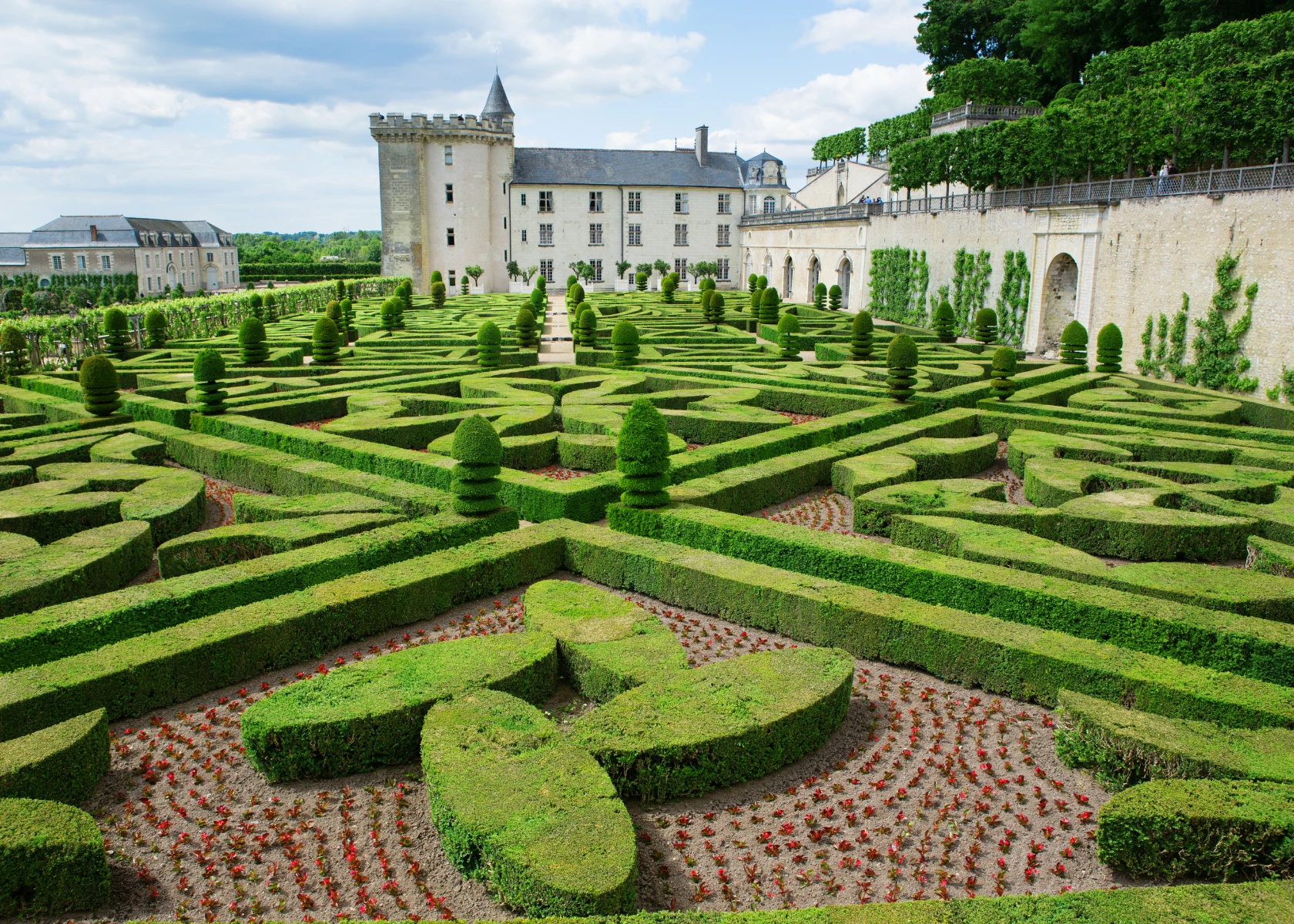 Day 7: Loire Valley