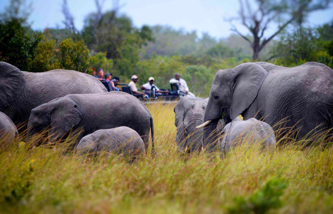 Day 7: Sabi Sands