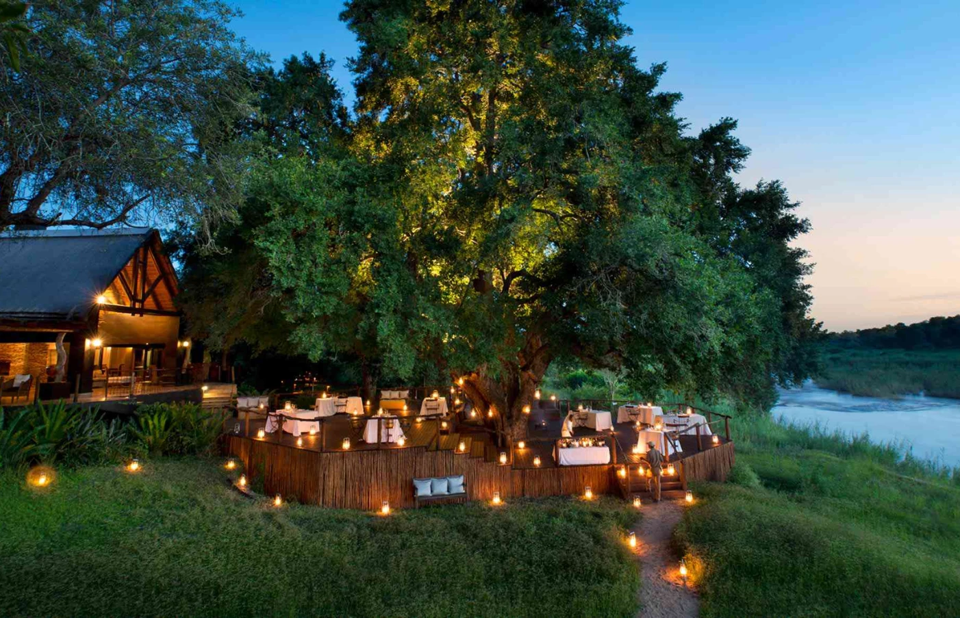 Day 8: Sabi Sands