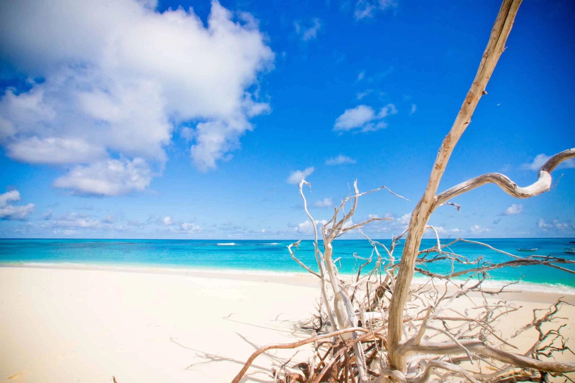 Denis Private Island