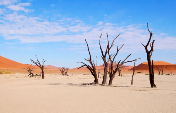 Day Two: Sossusvlei