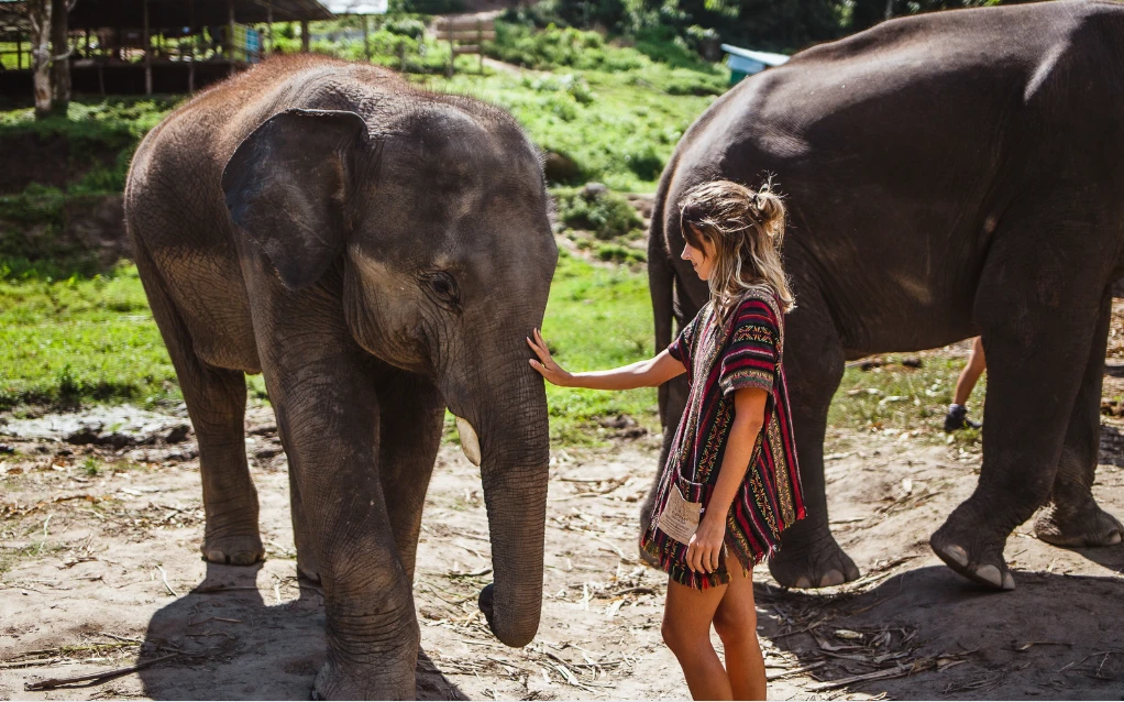 Day 6: Journey to Elephant Hills