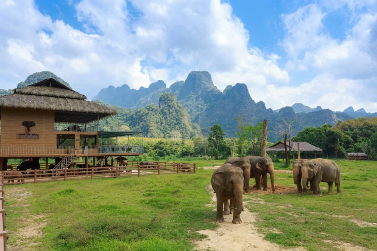 Thailand Luxury Honeymoon