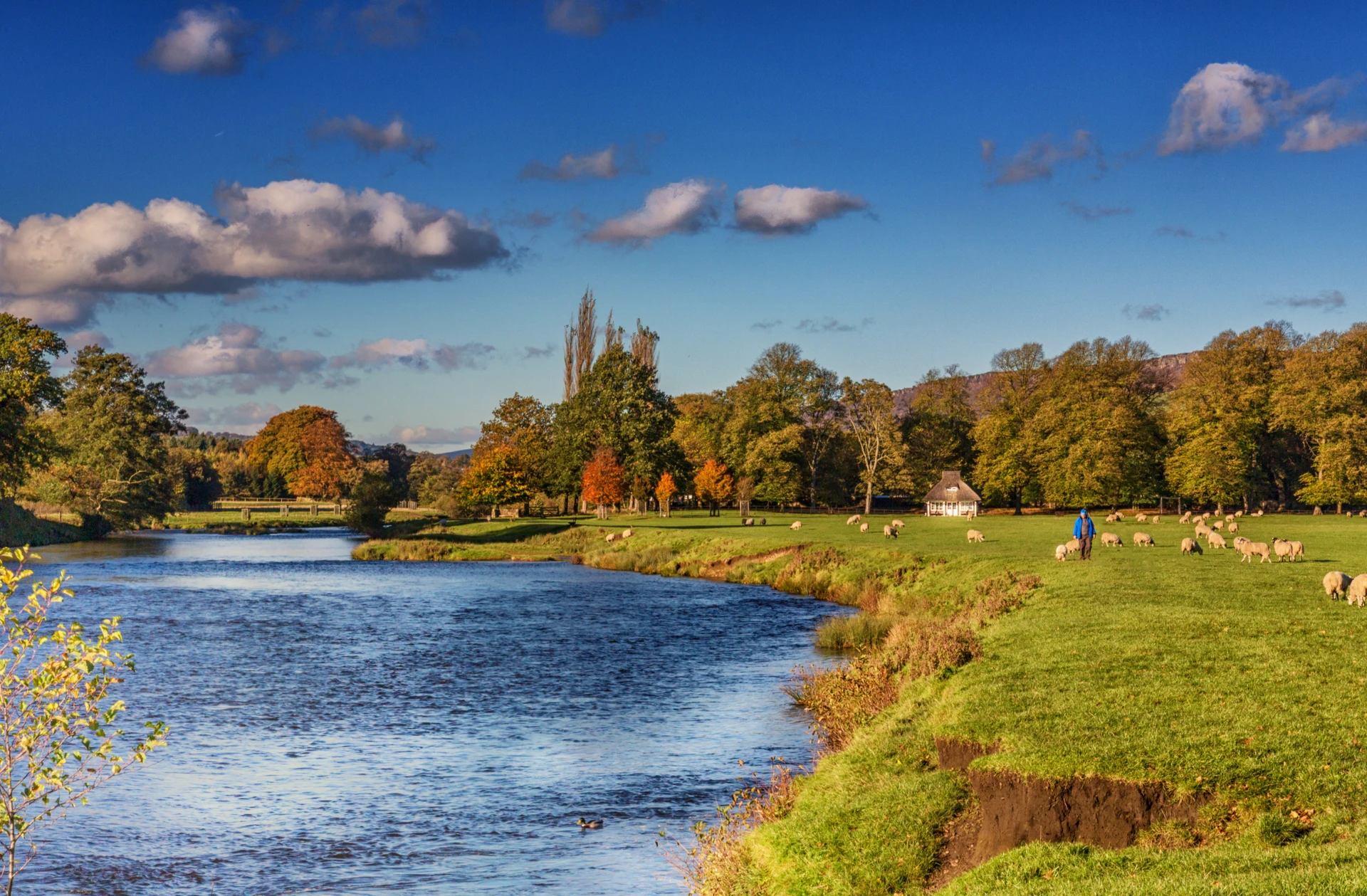Classic England: London, Bath & the Cotswolds