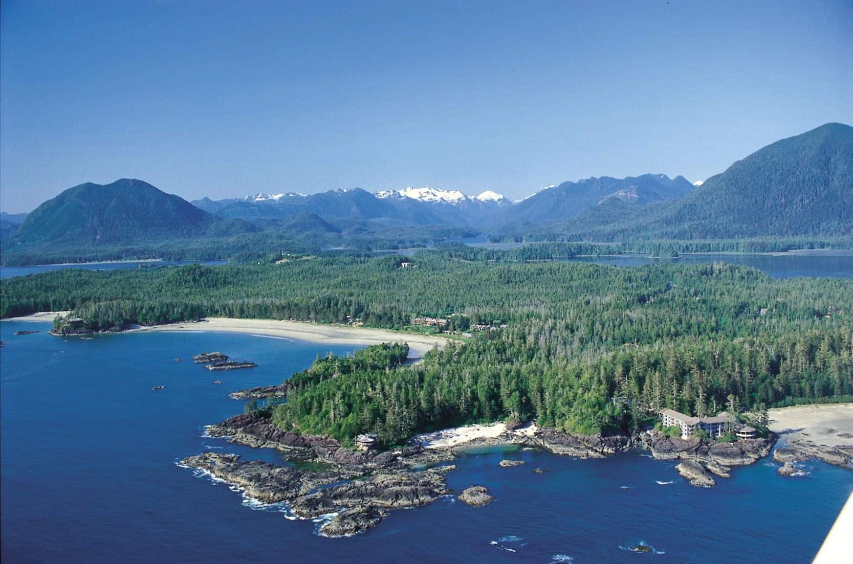 Whales, Bears and Vancouver Island