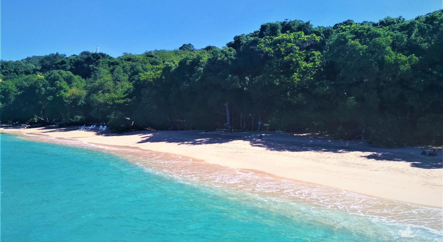 Barbados vs Bequia: Which Island Should You Visit?
