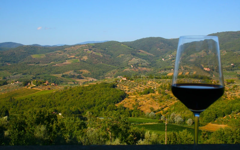 Day 3: Chianti Wine Region