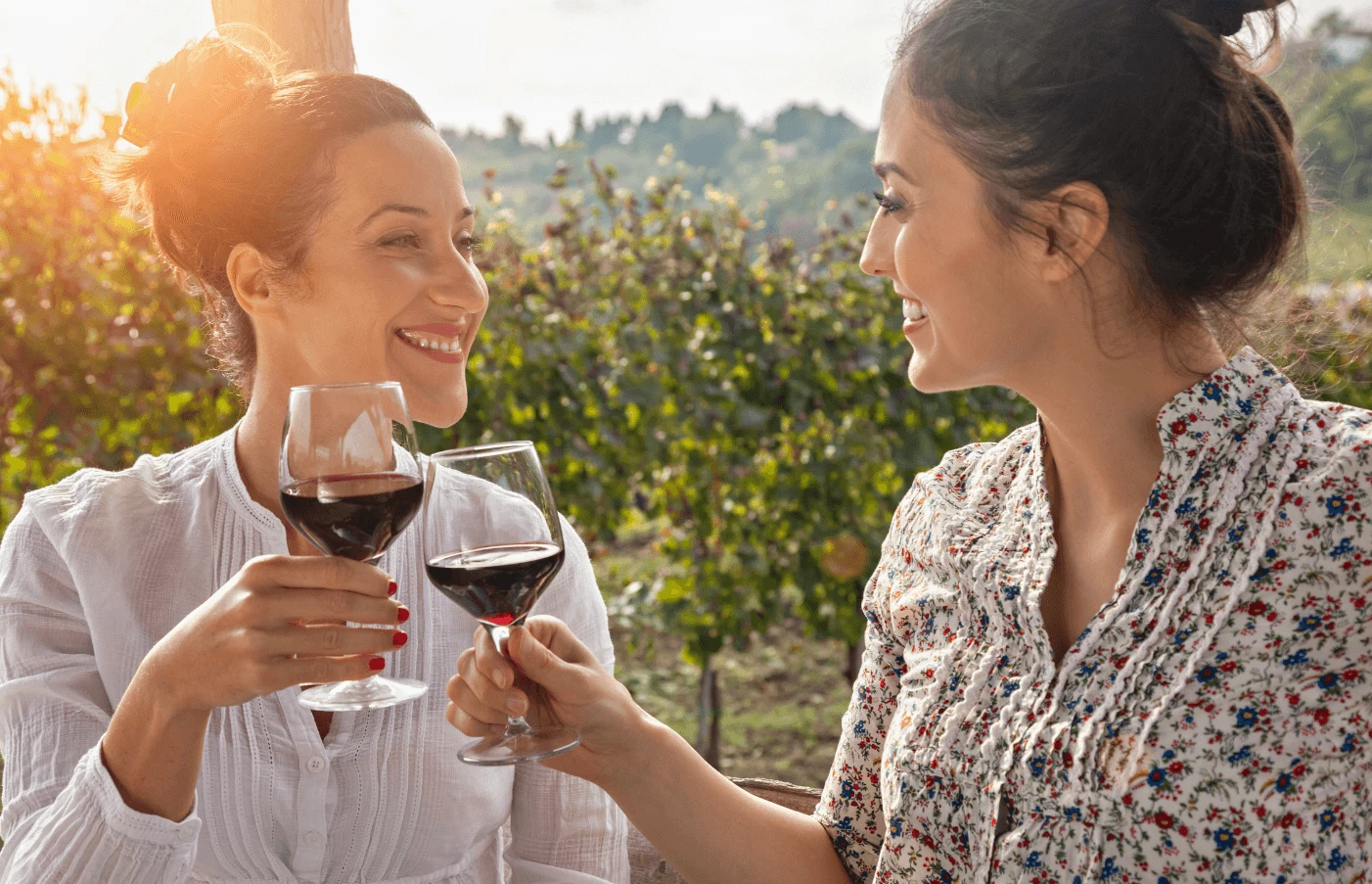 France: A Vineyard Voyage