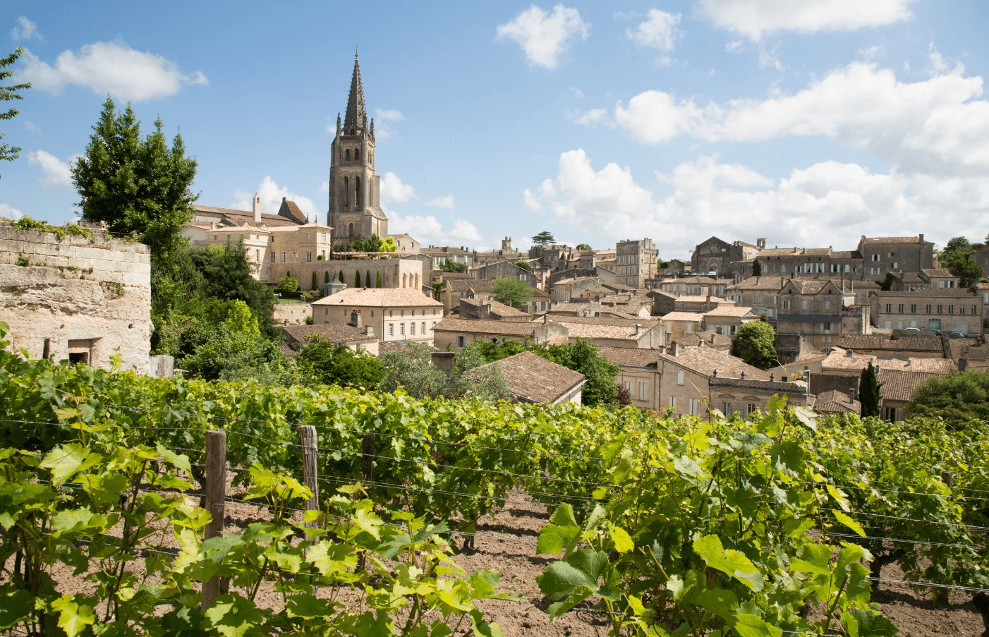 France: A Vineyard Voyage