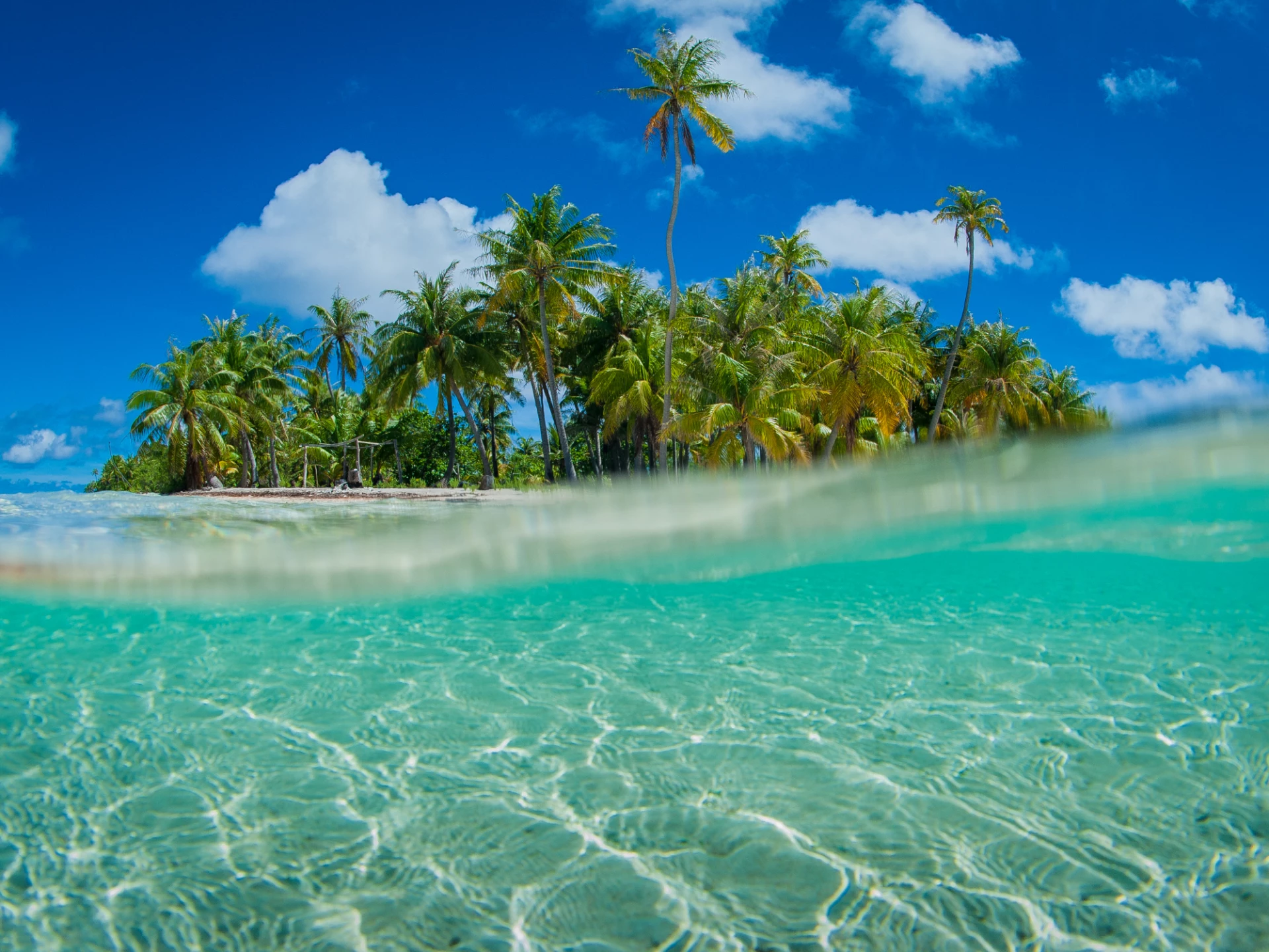 The Seychelles or Mauritius - which is better?