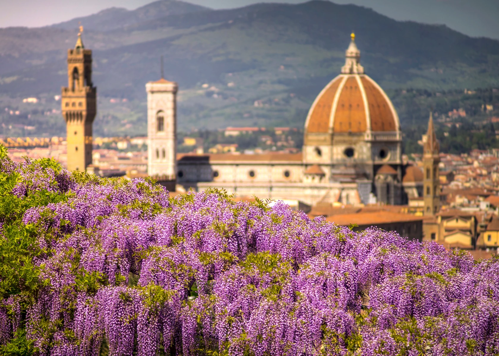 Gay Group Trip: Luxury Tuscan Summer