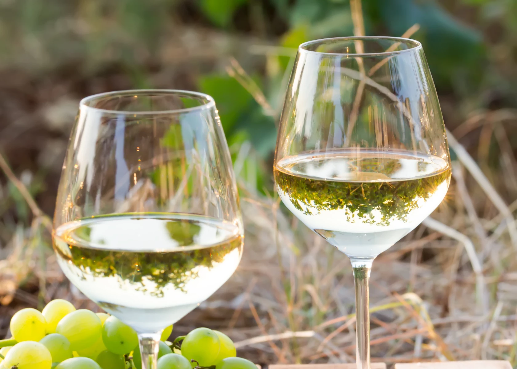 Gay Group Trip: Luxury Tuscan Summer