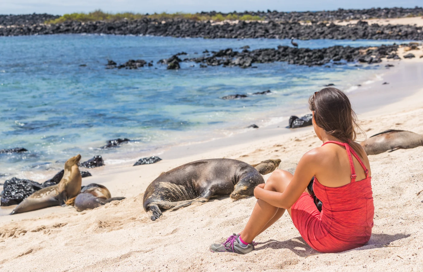 The Galapagos